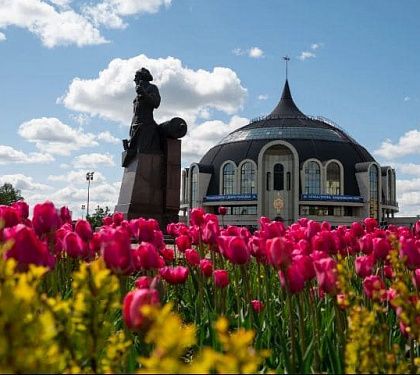 Тула.  Тульская область. из Покрова