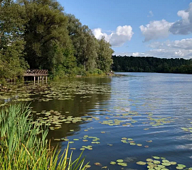 День в усадьбе Архангельское