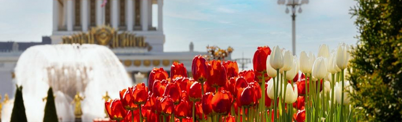 В парк ВДНХ