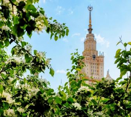 Москва из Покрова