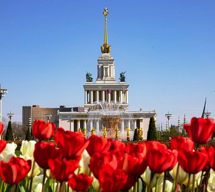 Туры в Москву из Покрова