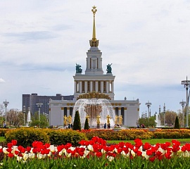 В парк ВДНХ